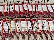 Blut spenden kann man am Donnerstag im Rathaus.