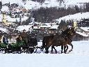 Kutschenfahrten Winterzauber Kutschenfahrten Winterzauber