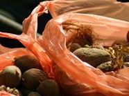 Im Gemeinderat wird es auch um ein mögliches Plastiksackerlverbot gehen. Im Gemeinderat wird es auch um ein mögliches Plastiksackerlverbot gehen.