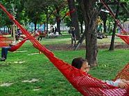 Die Hängematten im Bruno-Keisky-Park werden in den Regelbetrieb übernommen.