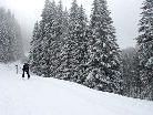Im Gauertal im Gemeindegebiet von Tschagguns. Im Gauertal im Gemeindegebiet von Tschagguns.
