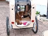 Umweltfreundlich Mobil mit Kindern, Tiren und beim Gütertransport mit Lastenanhängern. Umweltfreundlich Mobil mit Kindern, Tiren und beim Gütertransport mit Lastenanhängern.