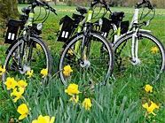Die Nationalpark-Ranger der Donau-Auen sind nun mit E-Bikes unterwegs. Die Nationalpark-Ranger der Donau-Auen sind nun mit E-Bikes unterwegs.