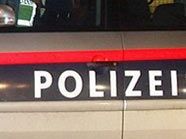 Die Polizei nahm die beiden Jugendlichen fest. Die Polizei nahm die beiden Jugendlichen fest.