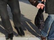 Ein Räuberduo hatte es auf die Handtasche einer 95-Jährigen abgesehen. Ein Räuberduo hatte es auf die Handtasche einer 95-Jährigen abgesehen.