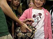 Im Feriencamp von Tiergarten Schönbrunn und Technischem Museum kann man einiges erleben. Im Feriencamp von Tiergarten Schönbrunn und Technischem Museum kann man einiges erleben.