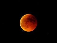 Die Mondfinsternis war auch über Wien zu sehen. Die Mondfinsternis war auch über Wien zu sehen.