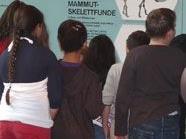Kinder mit Migrationshintergrund an den österreichischen Schulen, Symbolbild