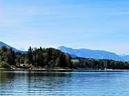 Am Wallersee wird eine 58-jährige Wienerin vermisst. Am Wallersee wird eine 58-jährige Wienerin vermisst.