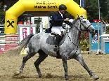 Am vergangenen Wochenende wurde bei den 45. Montafoner Pferdesporttagen das CSI Schruns-Tschagguns-Ambassador Class ausgetragen. Am vergangenen Wochenende wurde bei den 45. Montafoner Pferdesporttagen das CSI Schruns-Tschagguns-Ambassador Class ausgetragen.
