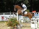 Auf der Reitanlage des Reitclub Montafon in Schruns-Tschagguns beginnt heute, Freitag, 5. August, das erste Wochenende der 45. Pferdesporttage Montafon (Bild: 31. Juli 2009). Auf der Reitanlage des Reitclub Montafon in Schruns-Tschagguns beginnt heute, Freitag, 5. August, das erste Wochenende der 45. Pferdesporttage Montafon (Bild: 31. Juli 2009).