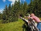 Der Silberpfad ist speziell für Familien und interessierte Gruppen zu empfehlen. Der Silberpfad ist speziell für Familien und interessierte Gruppen zu empfehlen.