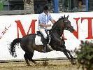 Die 45. Montafoner Pferdesporttage in Schruns-Tschagguns bieten ein interessantes Programm mit Spitzenpferden, hervorragenden Reitern u. v. m. Die 45. Montafoner Pferdesporttage in Schruns-Tschagguns bieten ein interessantes Programm mit Spitzenpferden, hervorragenden Reitern u. v. m.