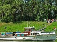Natur pur: Mit dem Nationalparkboot gelangt man in die Lobau.