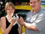 ÖAMTC Mitarbeiter retten Kätzchen aus Motorraum
