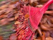 Einen besonders bunten Herbst gibt's in Wien-Neubau Einen besonders bunten Herbst gibt's in Wien-Neubau