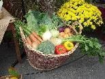 Gemeinde, Obst und Gartenbauverein und Pfarrgemeinderat laden zum Klauser Dorf und Bauernmarkt Gemeinde, Obst und Gartenbauverein und Pfarrgemeinderat laden zum Klauser Dorf und Bauernmarkt