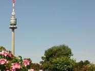 Papstkreuz in Wiener Donaupark wird renoviert, Symbolbild