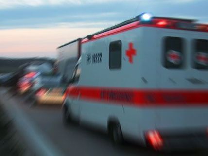 Steirer lag tot in der Wohnung Steirer lag tot in der Wohnung