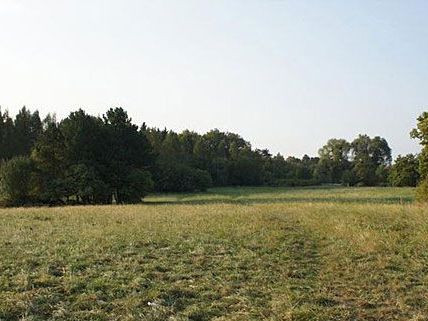 So kennt und liebt der Wiener seine Steinhofgründe - dieses Areal ist aber nur zum Teil betroffen So kennt und liebt der Wiener seine Steinhofgründe - dieses Areal ist aber nur zum Teil betroffen