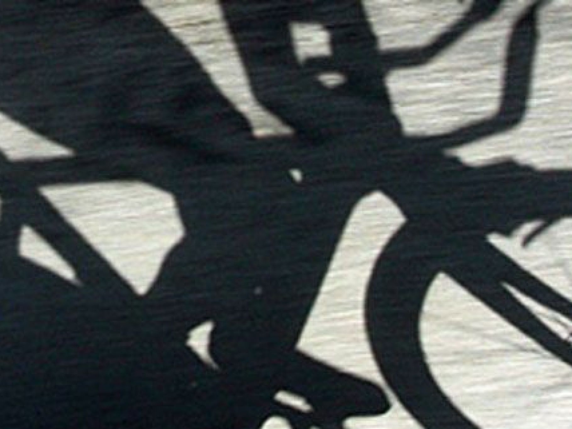 Der Unbekannte flüchtete dann auf dem Fahrrad, die Polizei fahndet. Der Unbekannte flüchtete dann auf dem Fahrrad, die Polizei fahndet.
