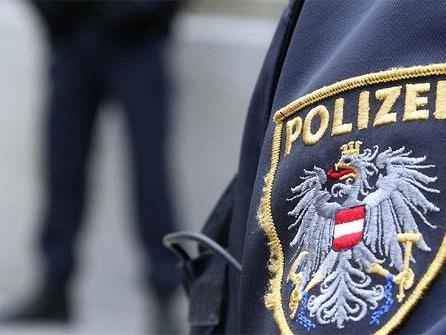 Die Polizei barg am Mittwochvormittag zwei Autos aus der Donau.