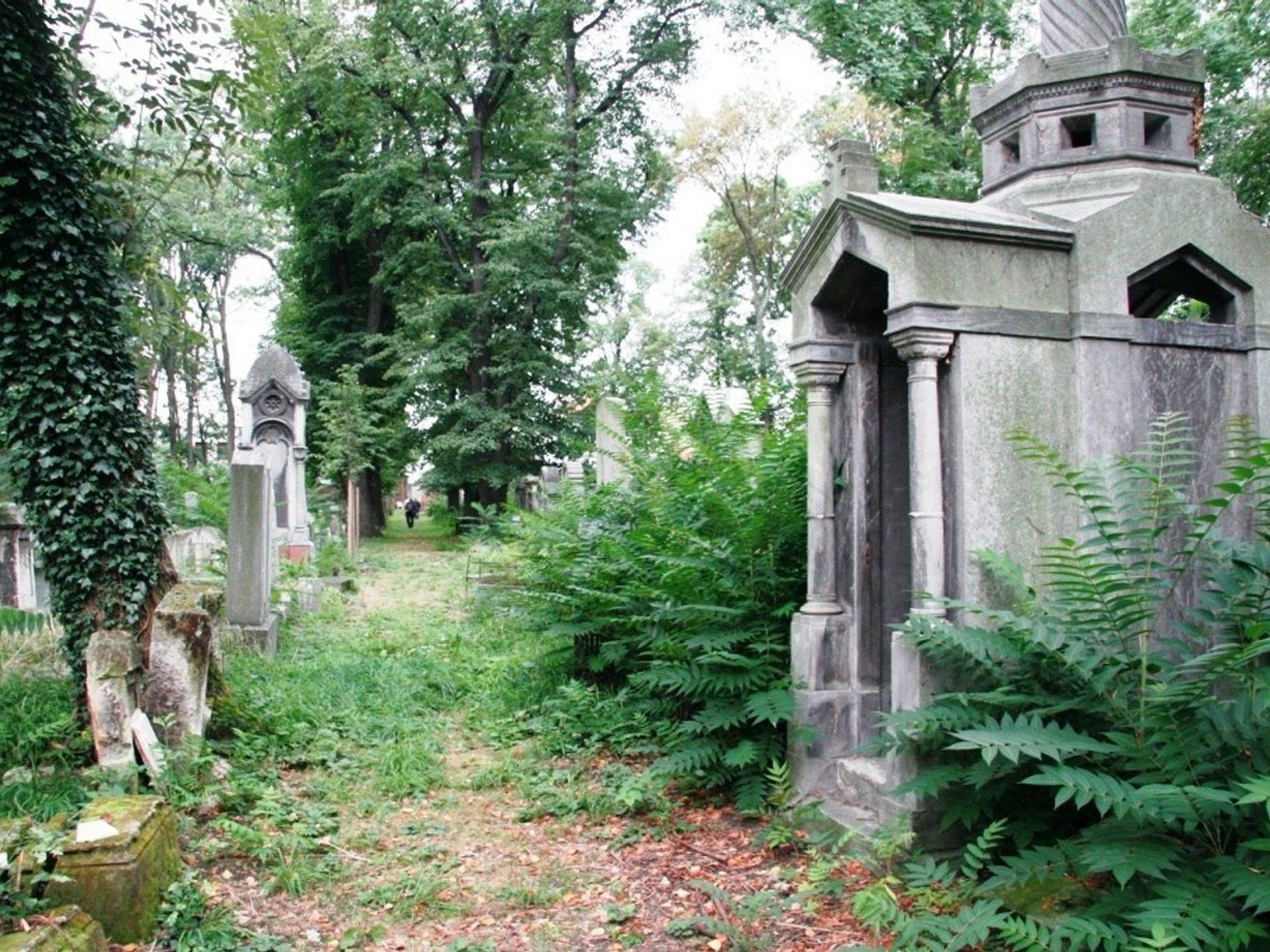 Erhaltenswertes Kulturgut: Der Jüdische Friedhof Währing