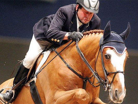 Auch heuer wieder ein sportlicher Erfolg: Das Wiener Pferdefest. Auch heuer wieder ein sportlicher Erfolg: Das Wiener Pferdefest.