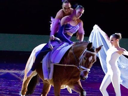Das Fest der Pferde begeisterte in der Wiener Stadthalle. Das Fest der Pferde begeisterte in der Wiener Stadthalle.