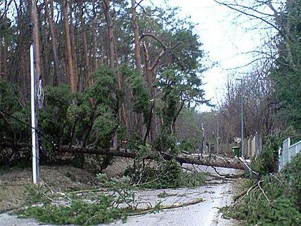 Bei einem schweren Sturm in St. Pölten stürzte ein Baum um, was ein Todesopfer forderte