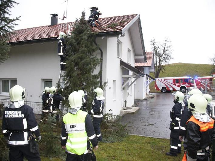 Ein Baum stürzte auf ein Haus in Zwischenwasser.