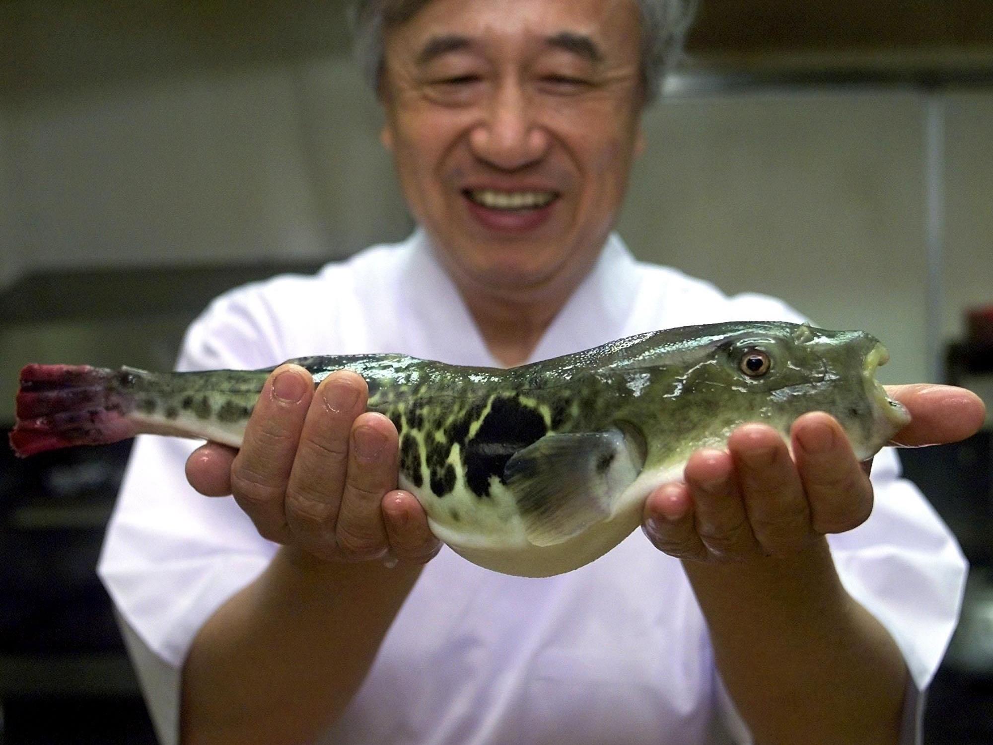 Im Restaurant "Fugu Fukuji" wurde einer Kundin Kugelfischleber serviert.