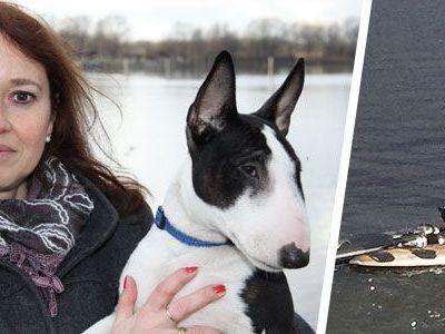 Der fünf Monate alte Bullterriers Erol sorgte am Donnerstag für einen Rettungseinsatz. Der fünf Monate alte Bullterriers Erol sorgte am Donnerstag für einen Rettungseinsatz.