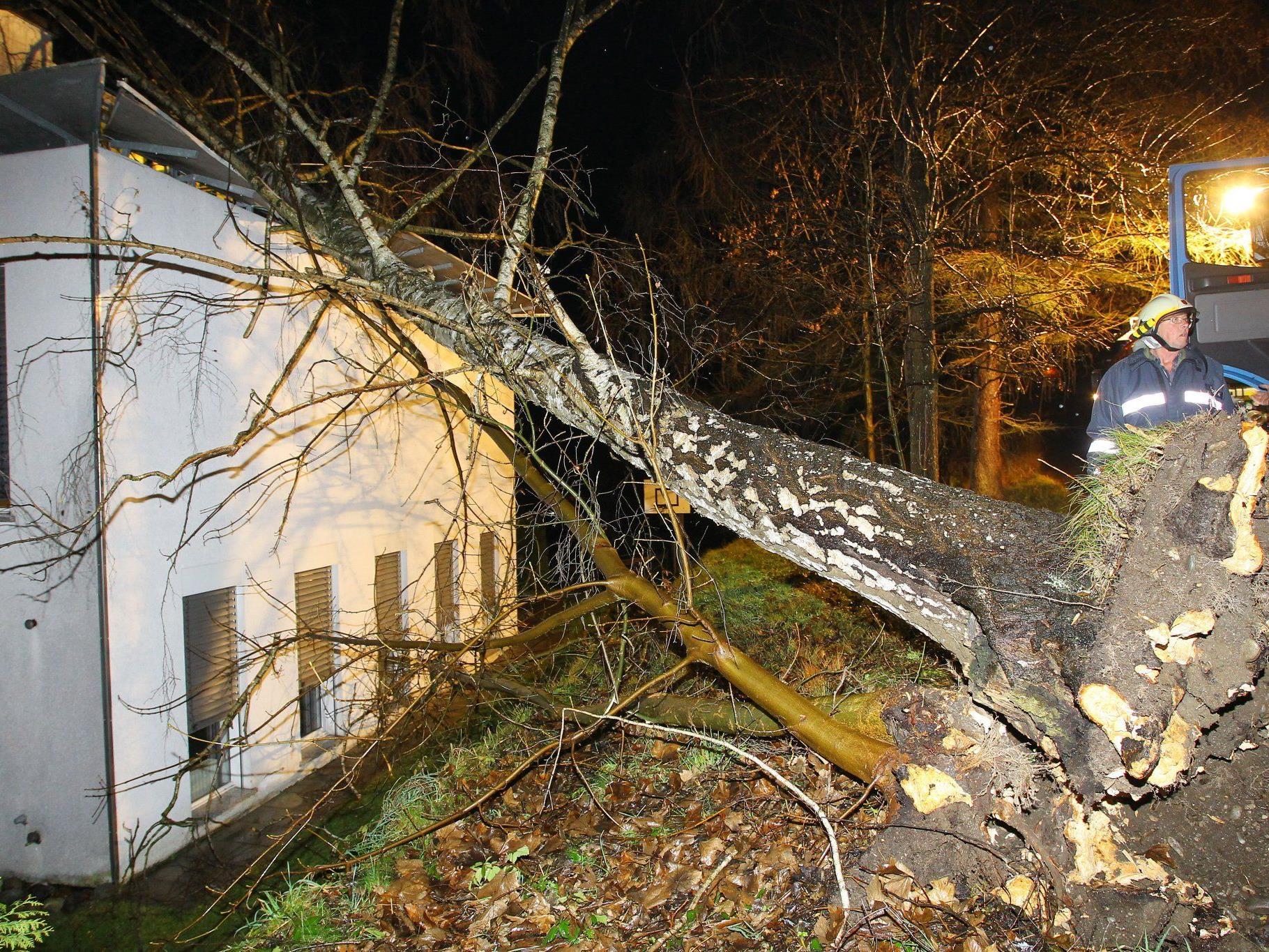 Der umgestürzte Baum richtete großen Sachschaden an.