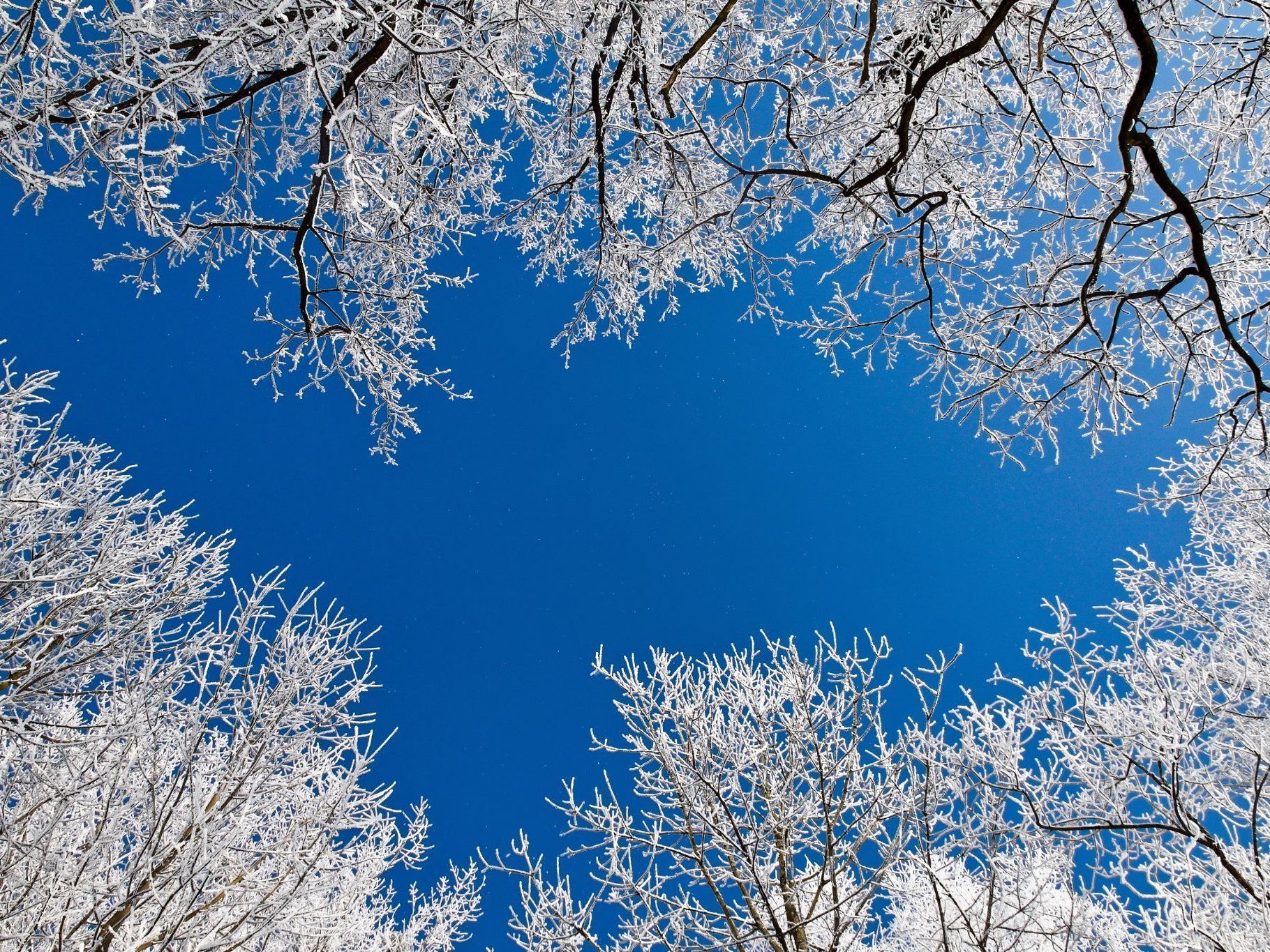 Wird es zu Weihnachten Schnee in Wien geben? Wird es zu Weihnachten Schnee in Wien geben?