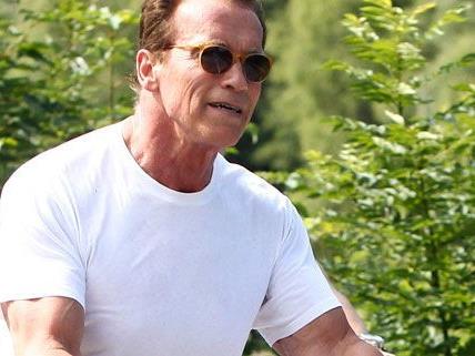 Arnild Schwarzenegger kommt nach Österreich