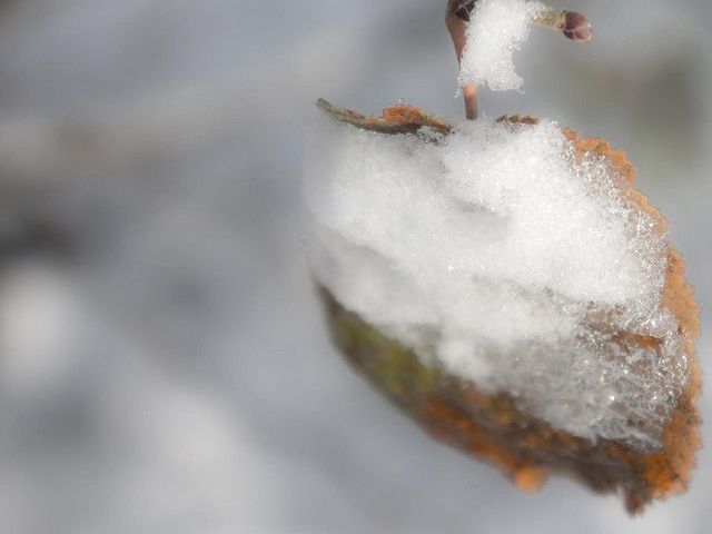 Die Winterjacke sollte man noch nicht wegpacken - es wird so richtig kalt