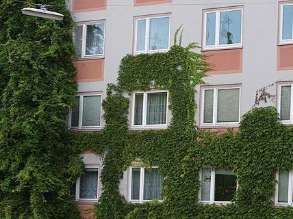 Fassadenbegünung ist auf der Wiener Nachhaltigkeitsmesse ein Schwerpunktthema Fassadenbegünung ist auf der Wiener Nachhaltigkeitsmesse ein Schwerpunktthema