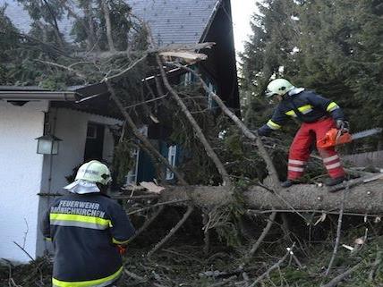 Durch starke Sturmböen stürzte in Mönichkirchen ein Baum auf ein Haus