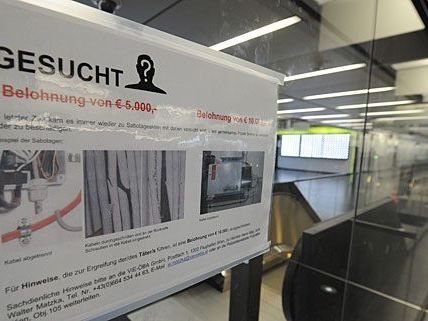 Auf den Skylink-Saboteur ist bereits ein "Kopfgeld" von 10.000 Euro ausgeschrieben Auf den Skylink-Saboteur ist bereits ein "Kopfgeld" von 10.000 Euro ausgeschrieben