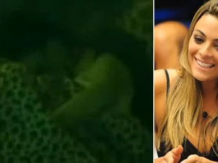 Die Polizei ermittelt wegen einer Vergewaltigung im brasilianischen "Big Brother"-Haus. Die Polizei ermittelt wegen einer Vergewaltigung im brasilianischen "Big Brother"-Haus.
