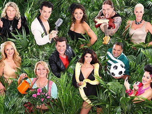 Diese Stars gehen ins Dschungelcamp - oben, v.li.: Vincent Raven, Daniel Lopes, Jazzy, Martin Kesici , Brigitte Nielsen, Radost Bokel, Ramona Leiß, Rocco Stark, Micaela Schäfer, Ailton und Kim Debkowski Diese Stars gehen ins Dschungelcamp - oben, v.li.: Vincent Raven, Daniel Lopes, Jazzy, Martin Kesici , Brigitte Nielsen, Radost Bokel, Ramona Leiß, Rocco Stark, Micaela Schäfer, Ailton und Kim Debkowski