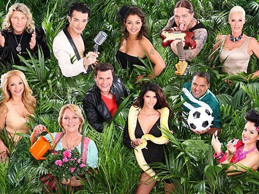 Diese Stars gehen ins Dschungelcamp - oben, v.li.: Vincent Raven, Daniel Lopes, Jazzy, Martin Kesici , Brigitte Nielsen, Radost Bokel, Ramona Leiß, Rocco Stark, Micaela Schäfer, Ailton und Kim Debkowski