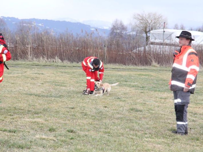 Hundebrigade im Einsatz Hundebrigade im Einsatz