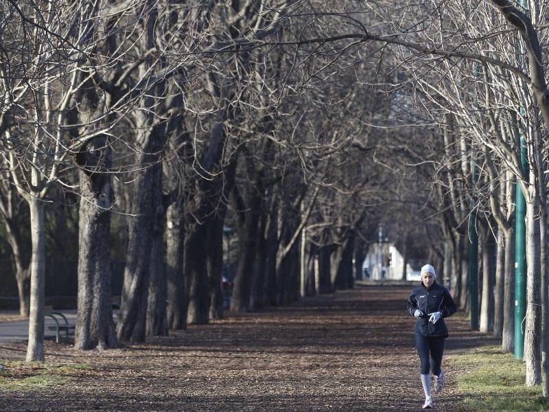 Beinahe frühlingshafte Temperaturen lockten auch die Jogger in den Prater Beinahe frühlingshafte Temperaturen lockten auch die Jogger in den Prater