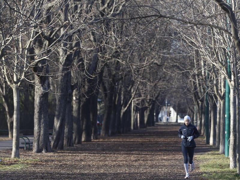 Beinahe frühlingshafte Temperaturen lockten auch die Jogger in den Prater