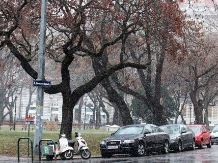 Ganz schön nass war er: Der erste Schnee am Freitag in Wien.