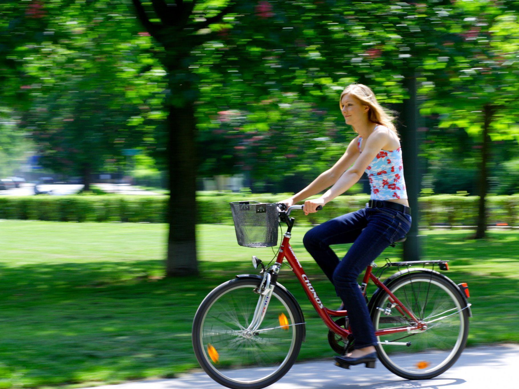 So viele Radfahrer wie 2011 gab es in Wien noch nie.