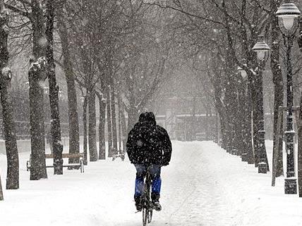 Auch Radfahrer dürfen sich bei Schnee in Wien über geräumte Wege freuen