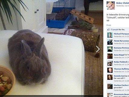 Strache verabschiedet Kaninchen "Schnuckl" im sozialen Netzwerk